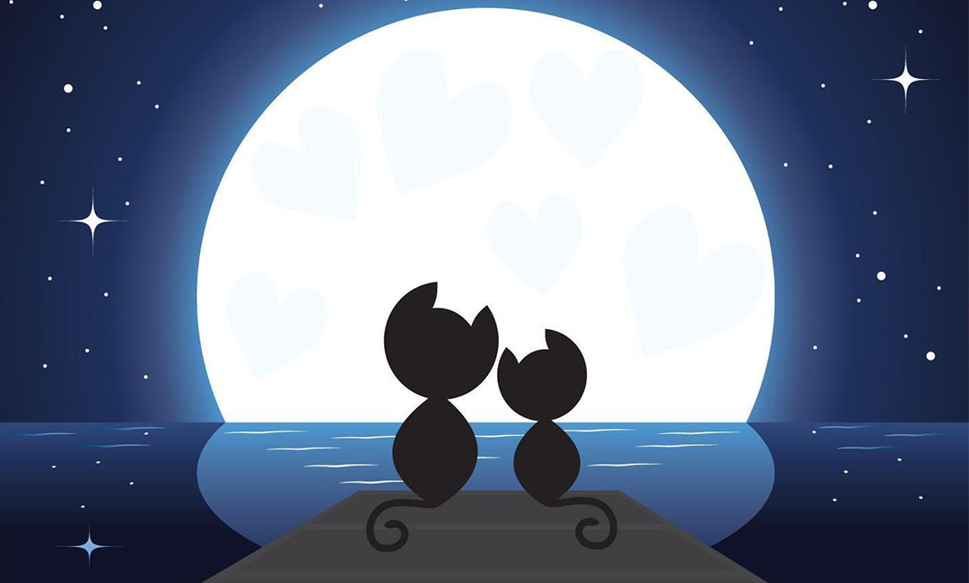 中山潮客汇微信活动策划案例